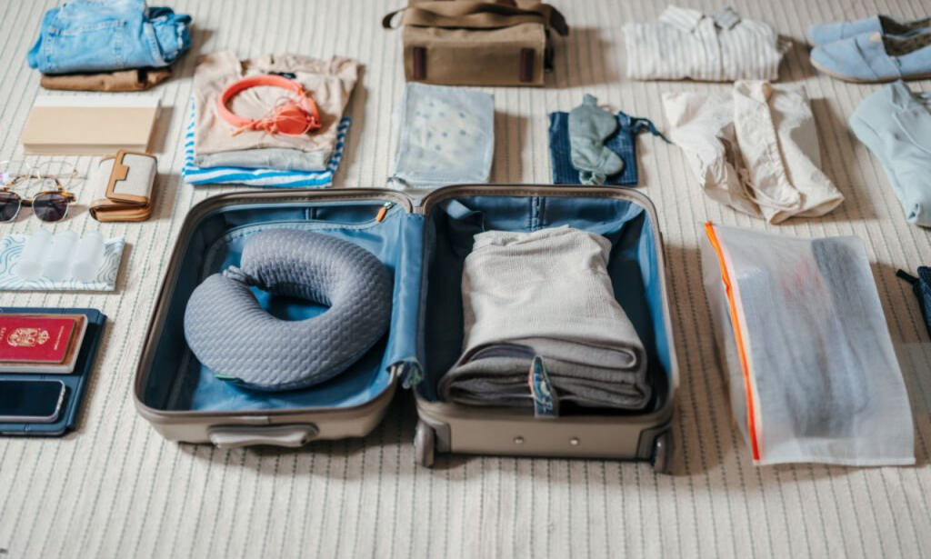 Packing cubes neatly arranged in a suitcase.